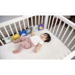 eb4e9b4e5ba3a9398cf0e62ff9ce2935