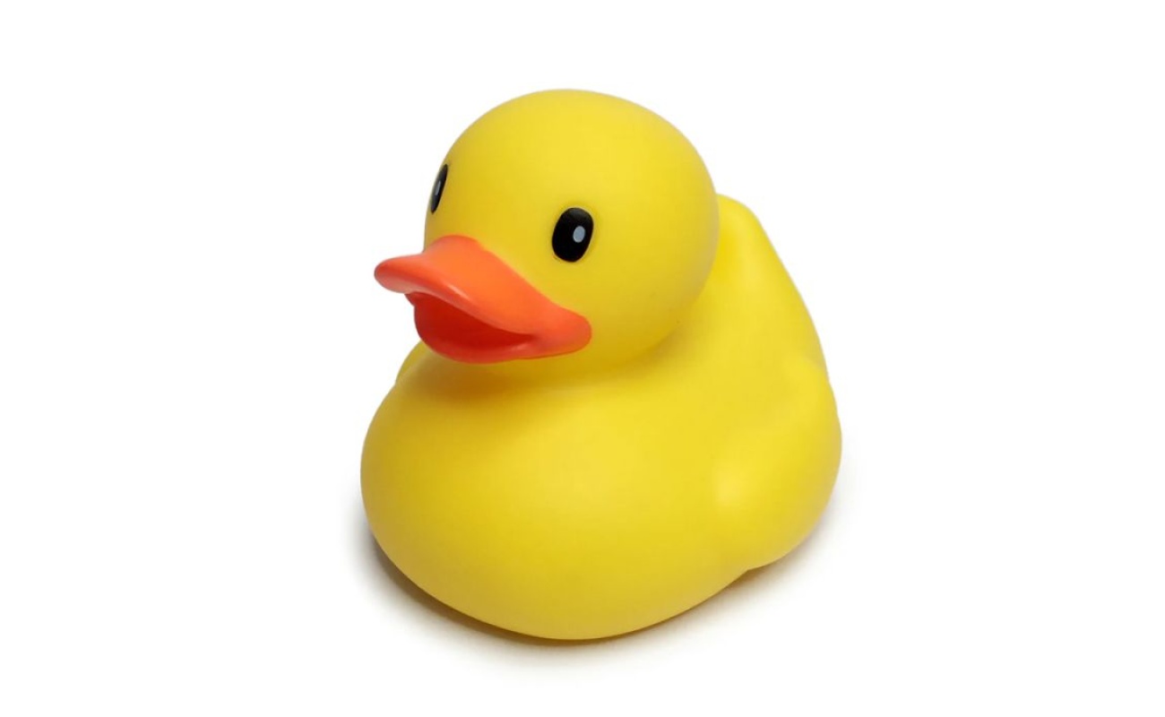 4e91f1a7fd684873689cd9076a8b3731